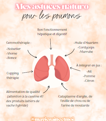 astuces naturelles pour soutenir les poumons