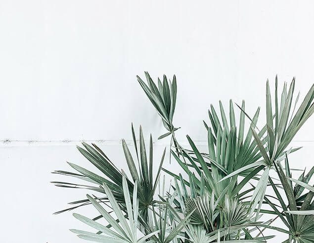 derick-mckinney-1579490-unsplash-crp-cm derick-mckinney-1579490-unsplash-crp-cm